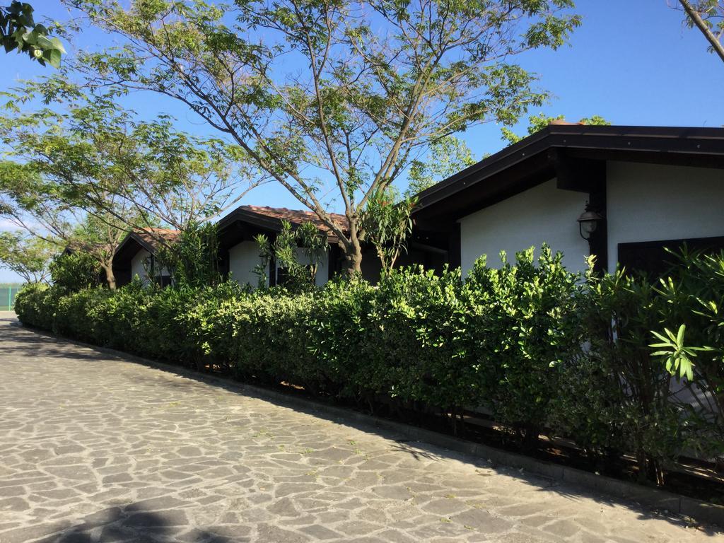 Ricciardulli Rooms Policoro Exterior foto